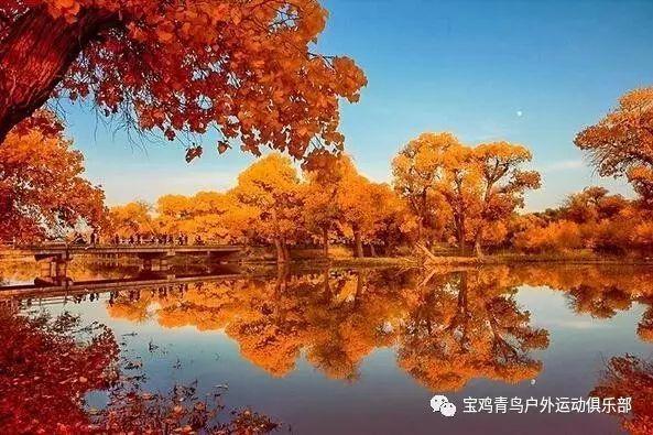 公主和美人鱼